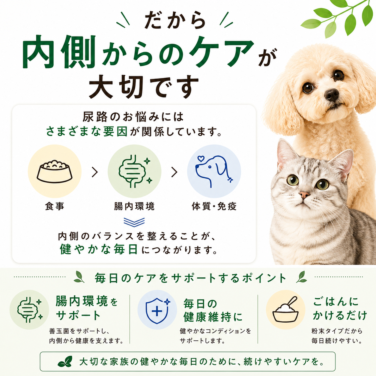 フソクタス スッとるBYE-BYE 犬猫用 尿路系改善用サプリメント【メール便送料無料】