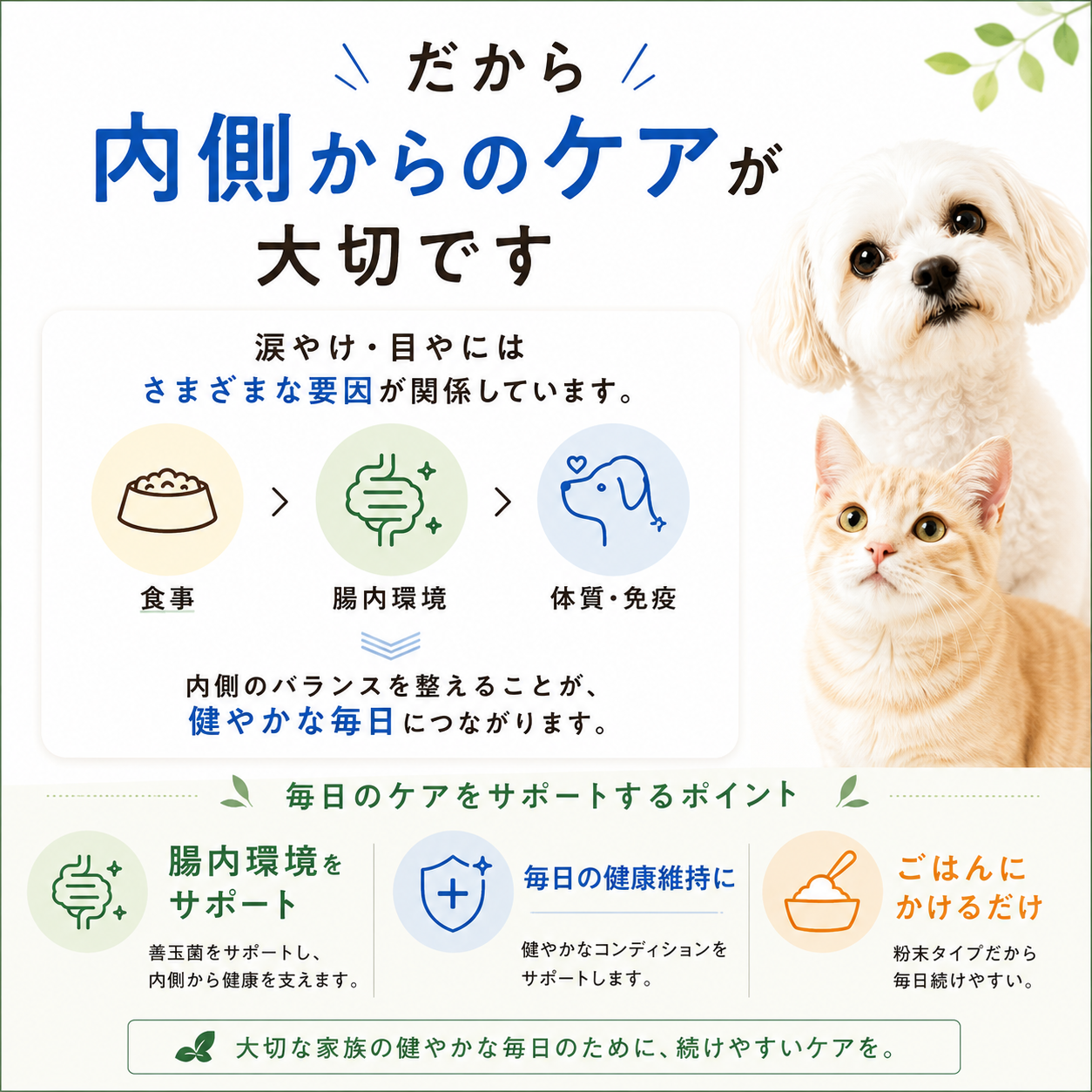 フソクタス 涙美（るいび）犬猫用 涙やけサプリメント【メール便送料無料】
