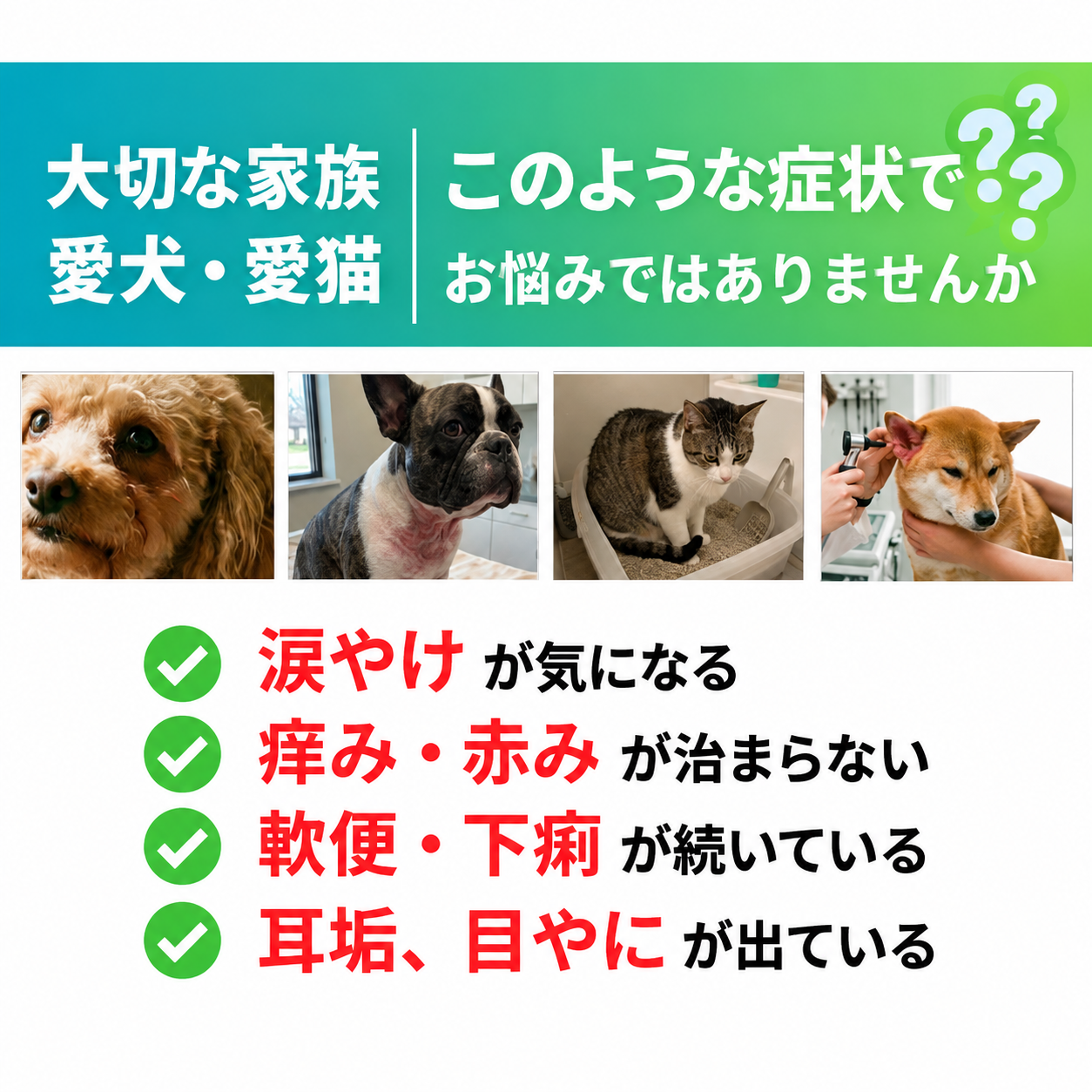 【獣医師推奨／業界最多430品目以上】犬・猫用 アレルギー／不耐性検査キット アレミッケ 1頭用