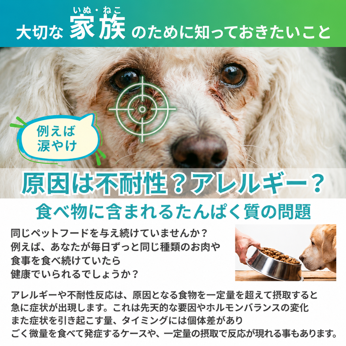 【獣医師推奨／業界最多430品目以上】犬・猫用 アレルギー／不耐性検査キット アレミッケ 1頭用