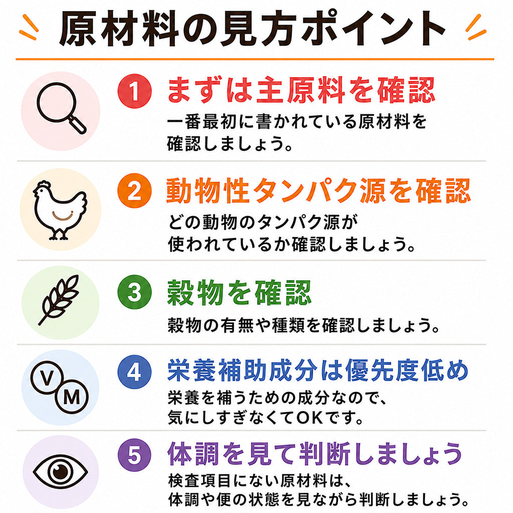 yum yum yum！ チキン ドライタイプ 全年齢対応 ドッグフード