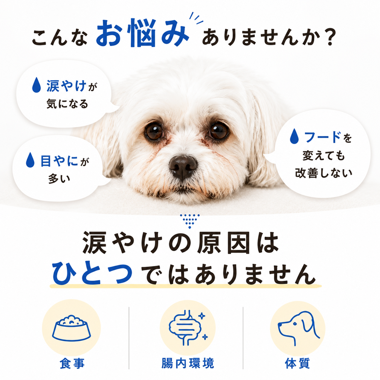 フソクタス 涙美（るいび）犬猫用 涙やけサプリメント【メール便送料無料】