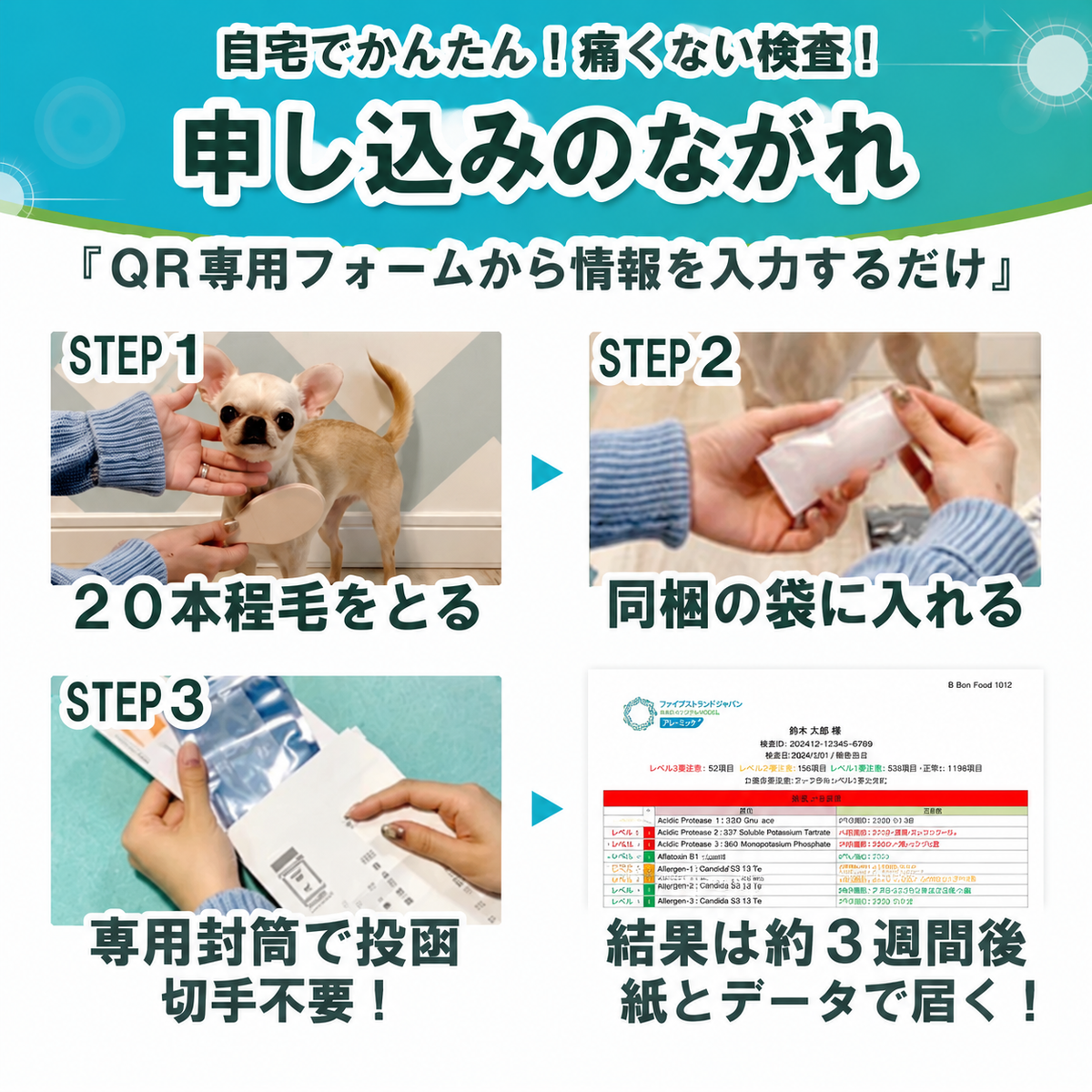 【獣医師推奨／業界最多430品目以上】犬・猫用 アレルギー／不耐性検査キット アレミッケ 1頭用