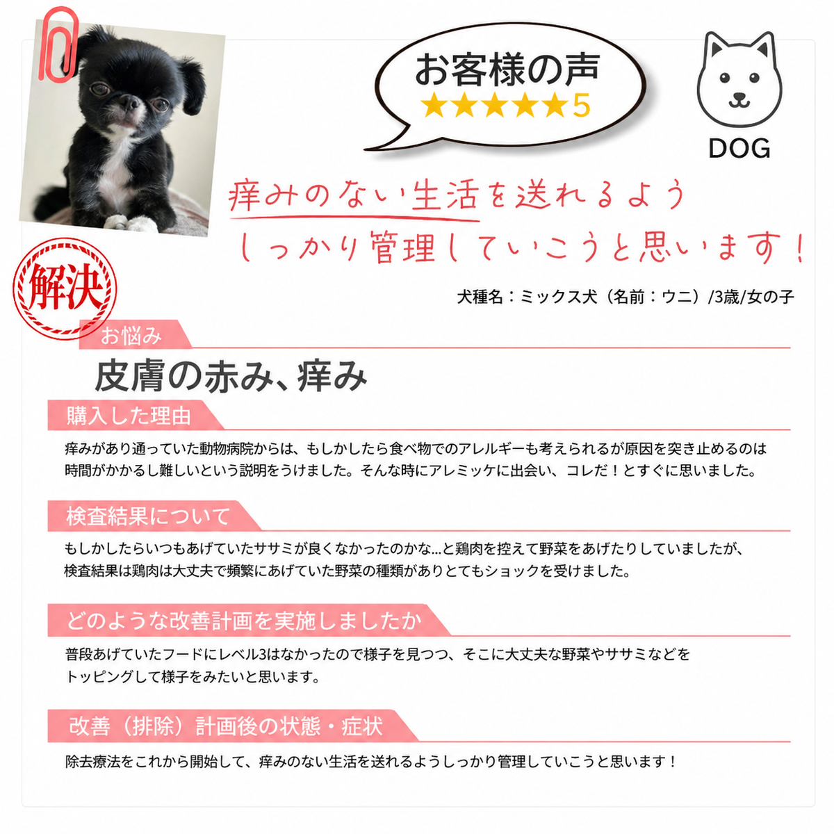 【獣医師推奨／業界最多430品目以上】犬・猫用 アレルギー／不耐性検査キット アレミッケ 1頭用