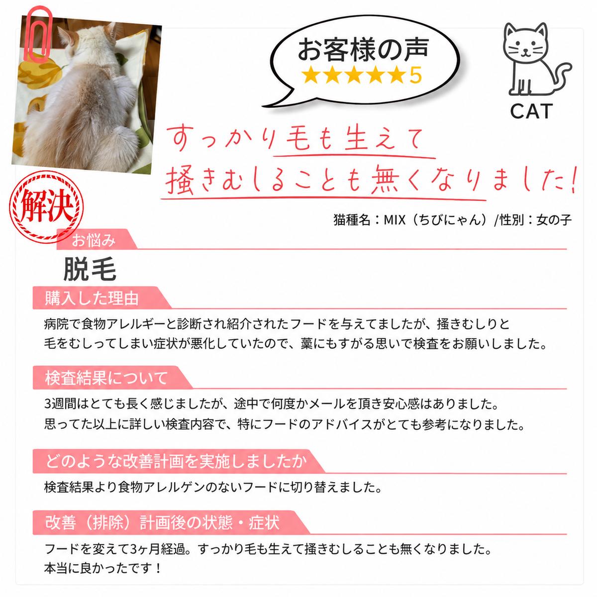 【獣医師推奨／業界最多430品目以上】犬・猫用 アレルギー／不耐性検査キット アレミッケ 1頭用