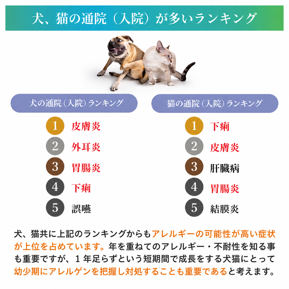 【獣医師推奨／業界最多430品目以上】犬・猫用 アレルギー／不耐性検査キット アレミッケ 1頭用