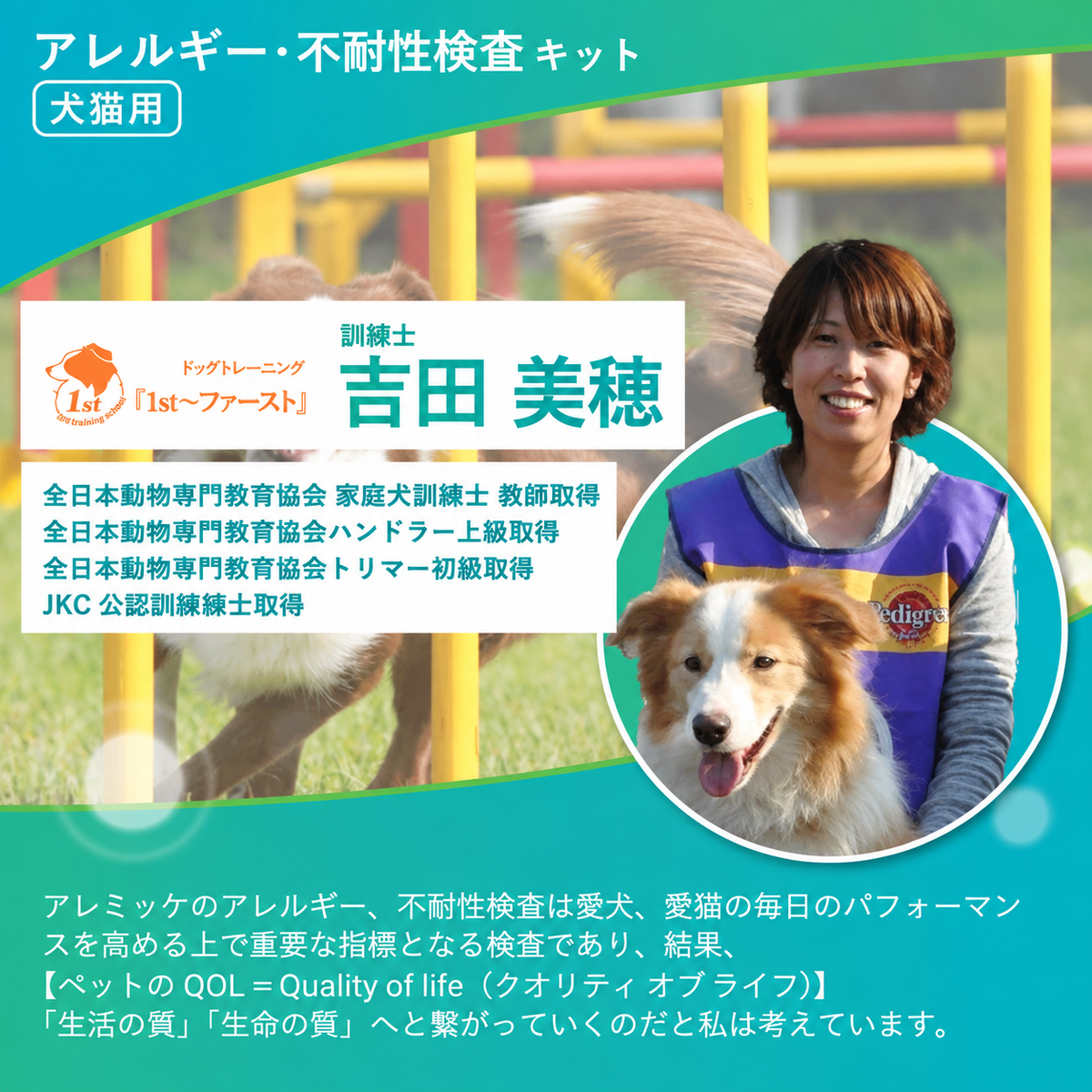 【獣医師推奨／業界最多430品目以上】犬・猫用 アレルギー／不耐性検査キット アレミッケ 1頭用