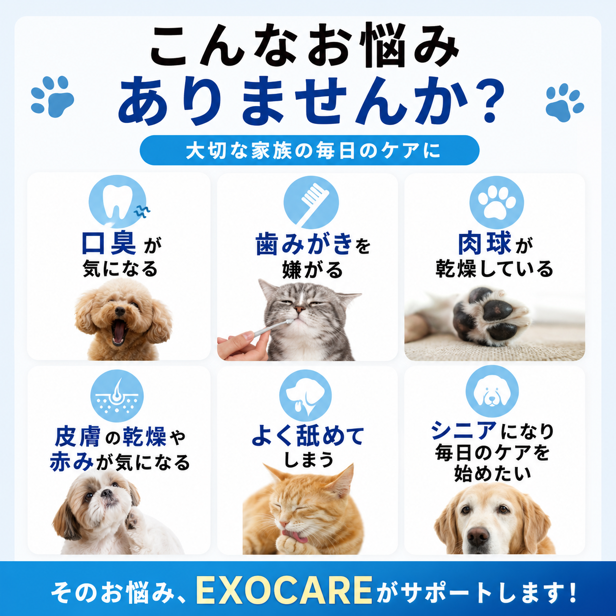 EXOCARE（エクソケア） エクソソーム配合 ペット用オールインケアジェル 50g