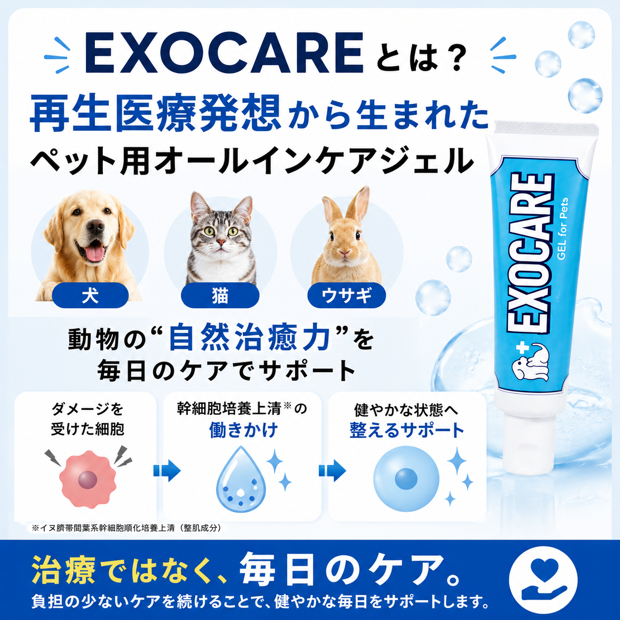 EXOCARE（エクソケア） エクソソーム配合 ペット用オールインケアジェル 50g