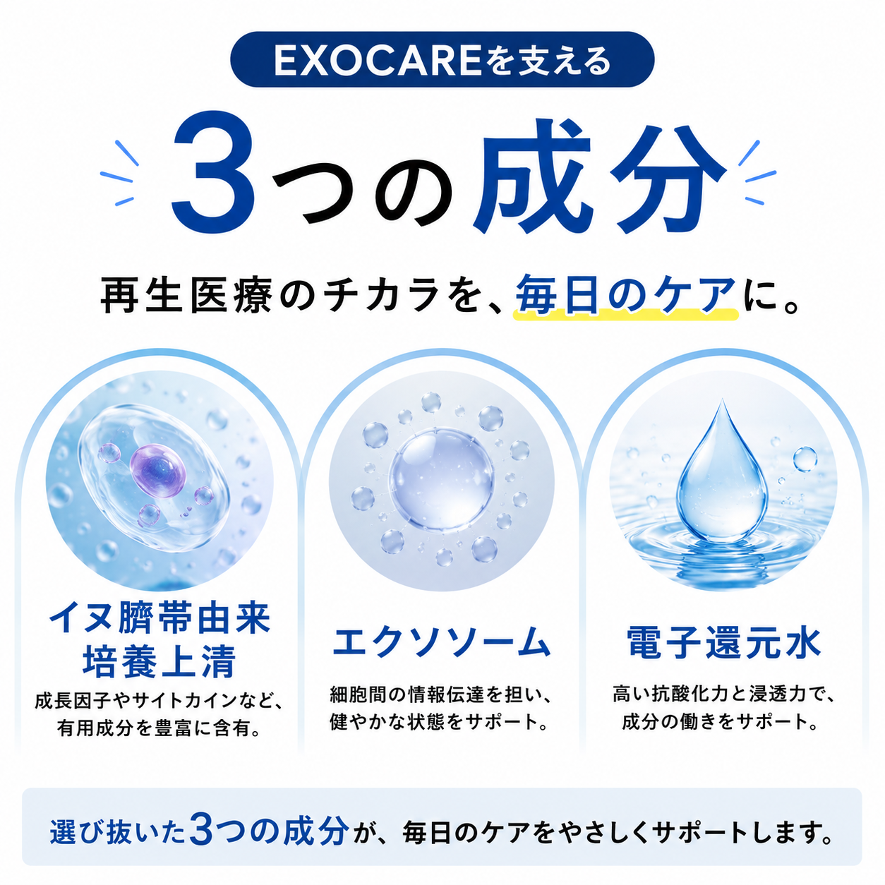EXOCARE（エクソケア） エクソソーム配合 ペット用オールインケアジェル 50g
