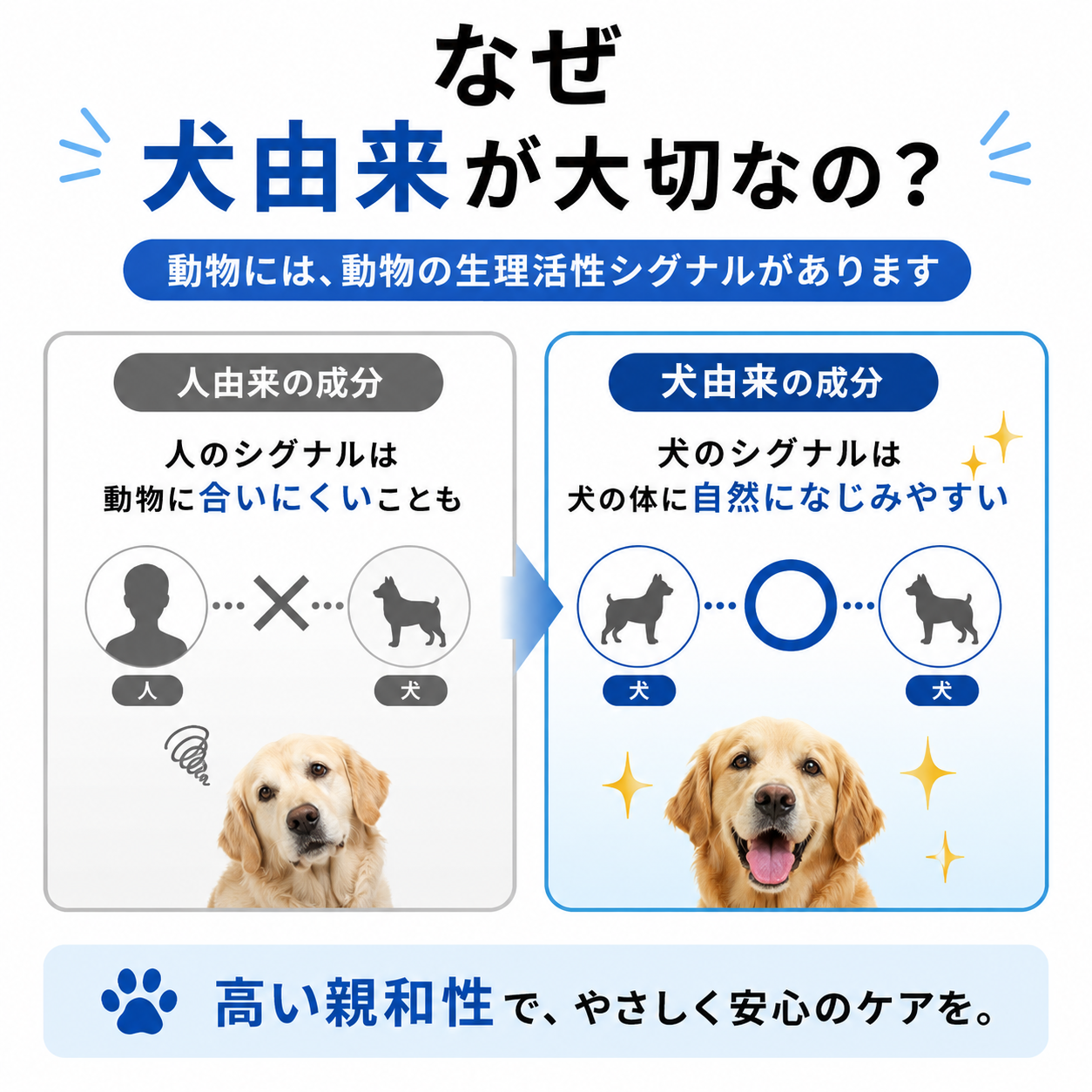 EXOCARE（エクソケア） エクソソーム配合 ペット用オールインケアジェル 50g