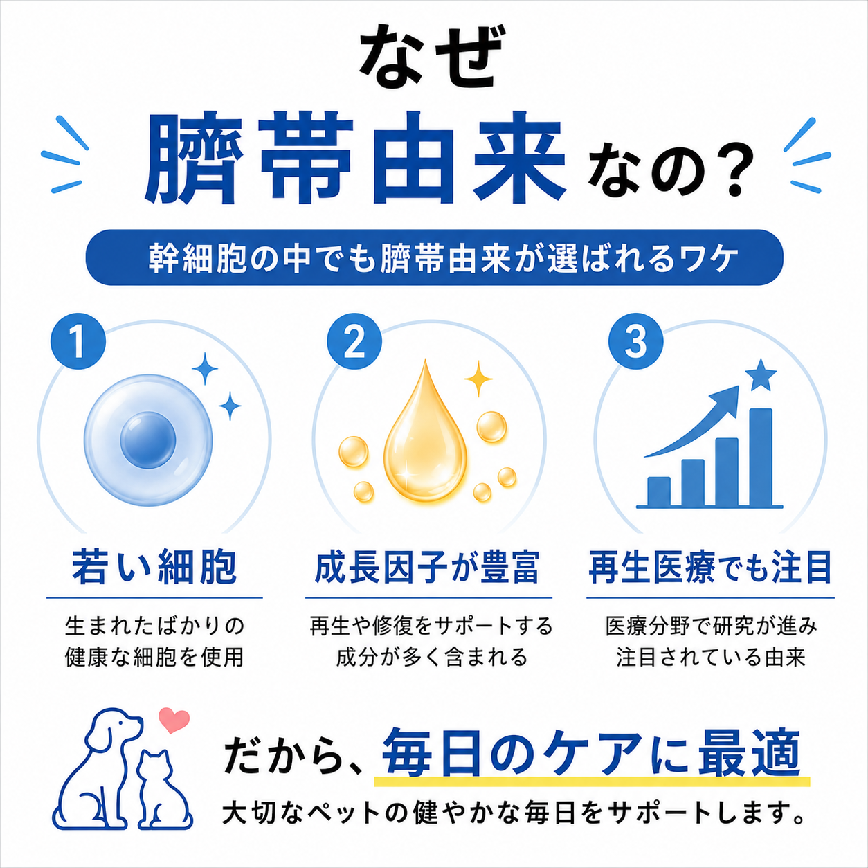 EXOCARE（エクソケア） エクソソーム配合 ペット用オールインケアジェル 50g