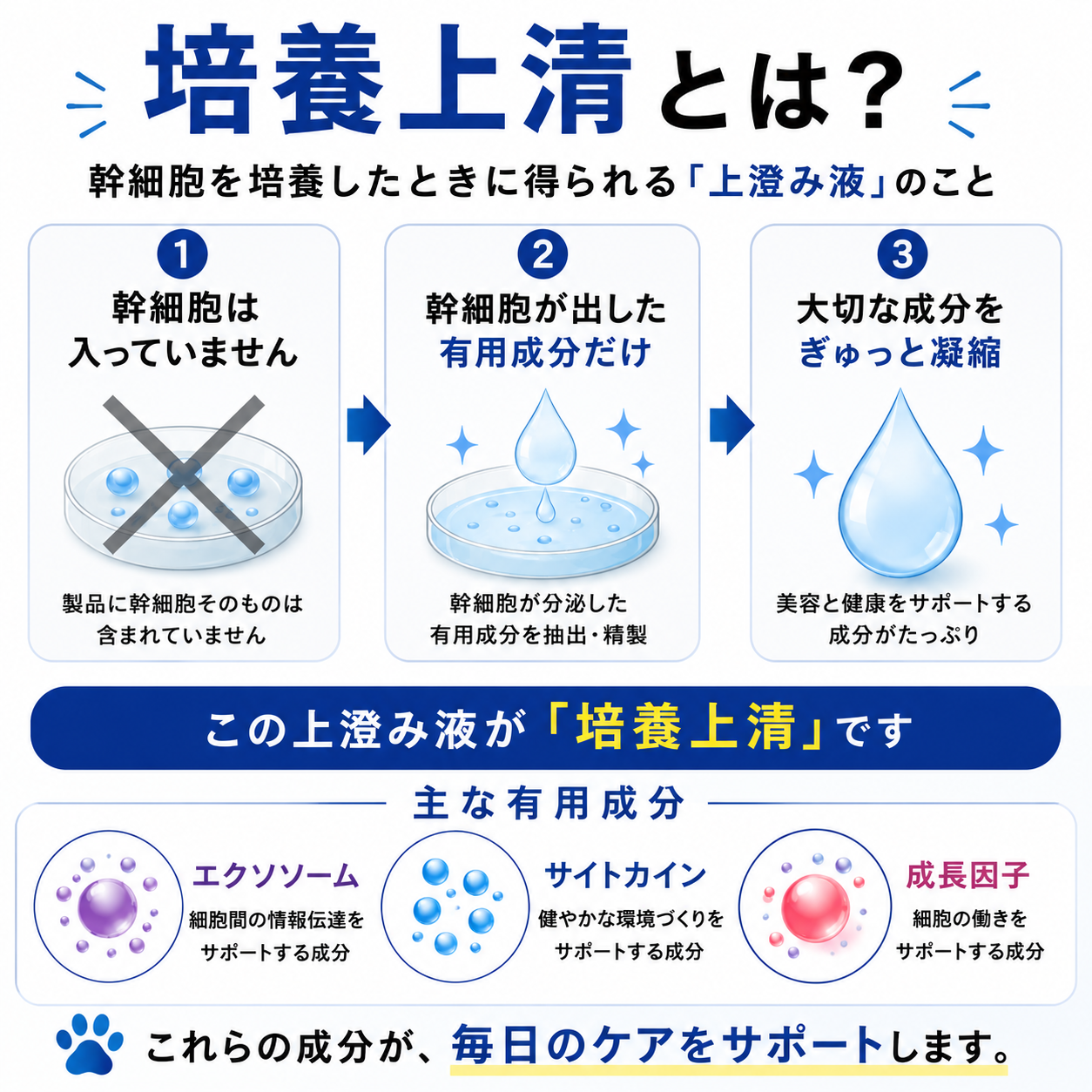 EXOCARE（エクソケア） エクソソーム配合 ペット用オールインケアジェル 50g