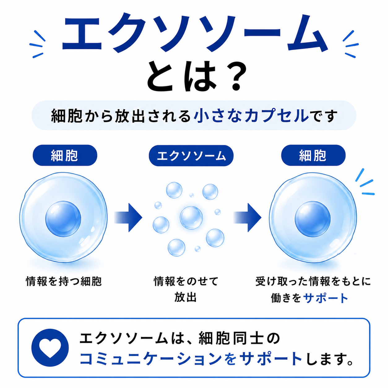 EXOCARE（エクソケア） エクソソーム配合 ペット用オールインケアジェル 50g