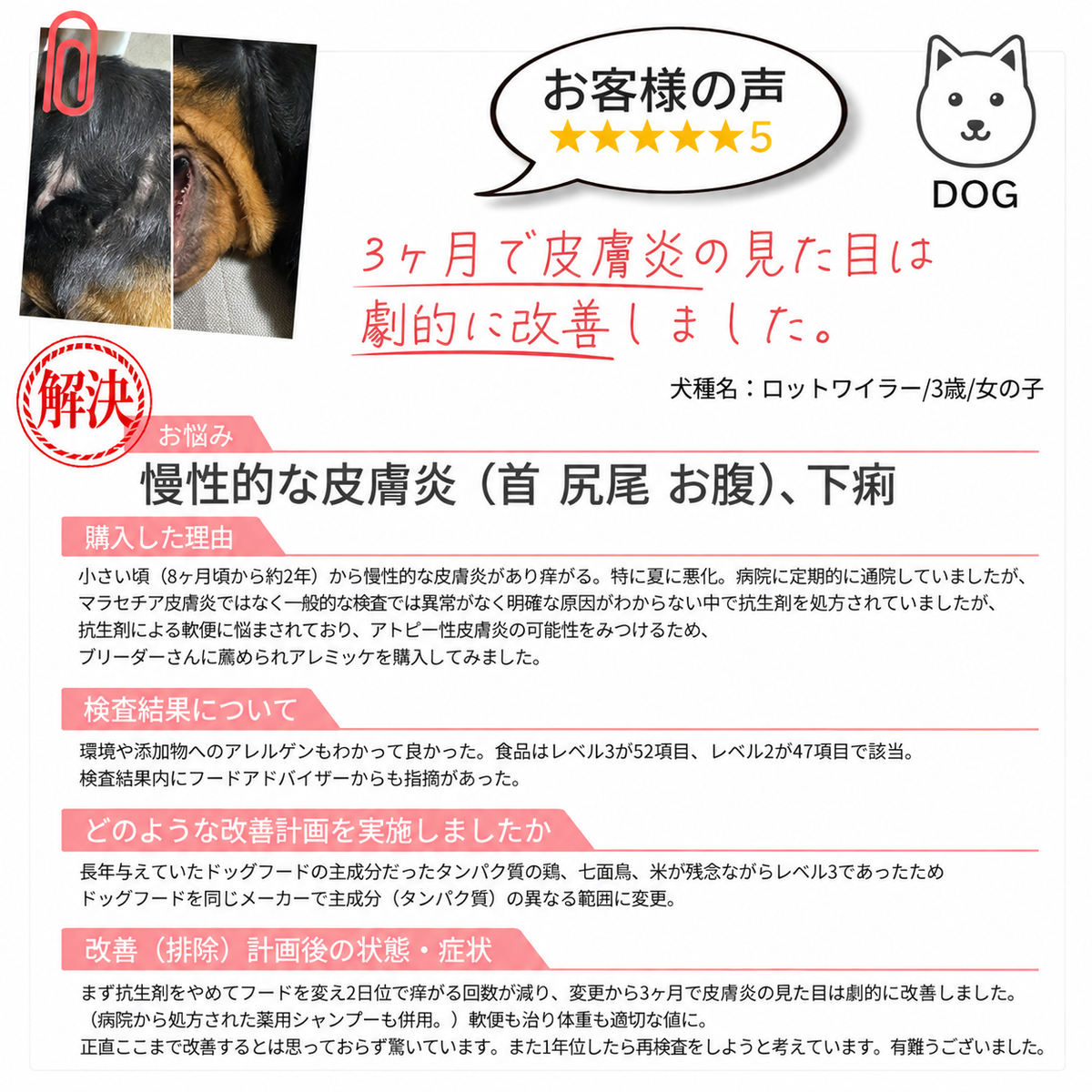 【獣医師推奨／業界最多430品目以上】犬・猫用 アレルギー／不耐性検査キット アレミッケ 1頭用