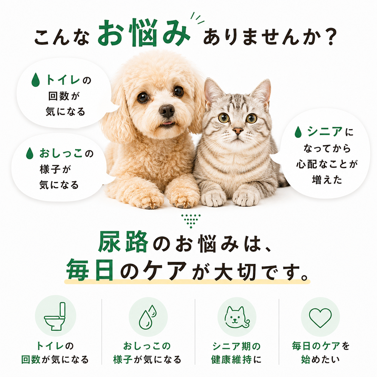 フソクタス スッとるBYE-BYE 犬猫用 尿路系改善用サプリメント【メール便送料無料】