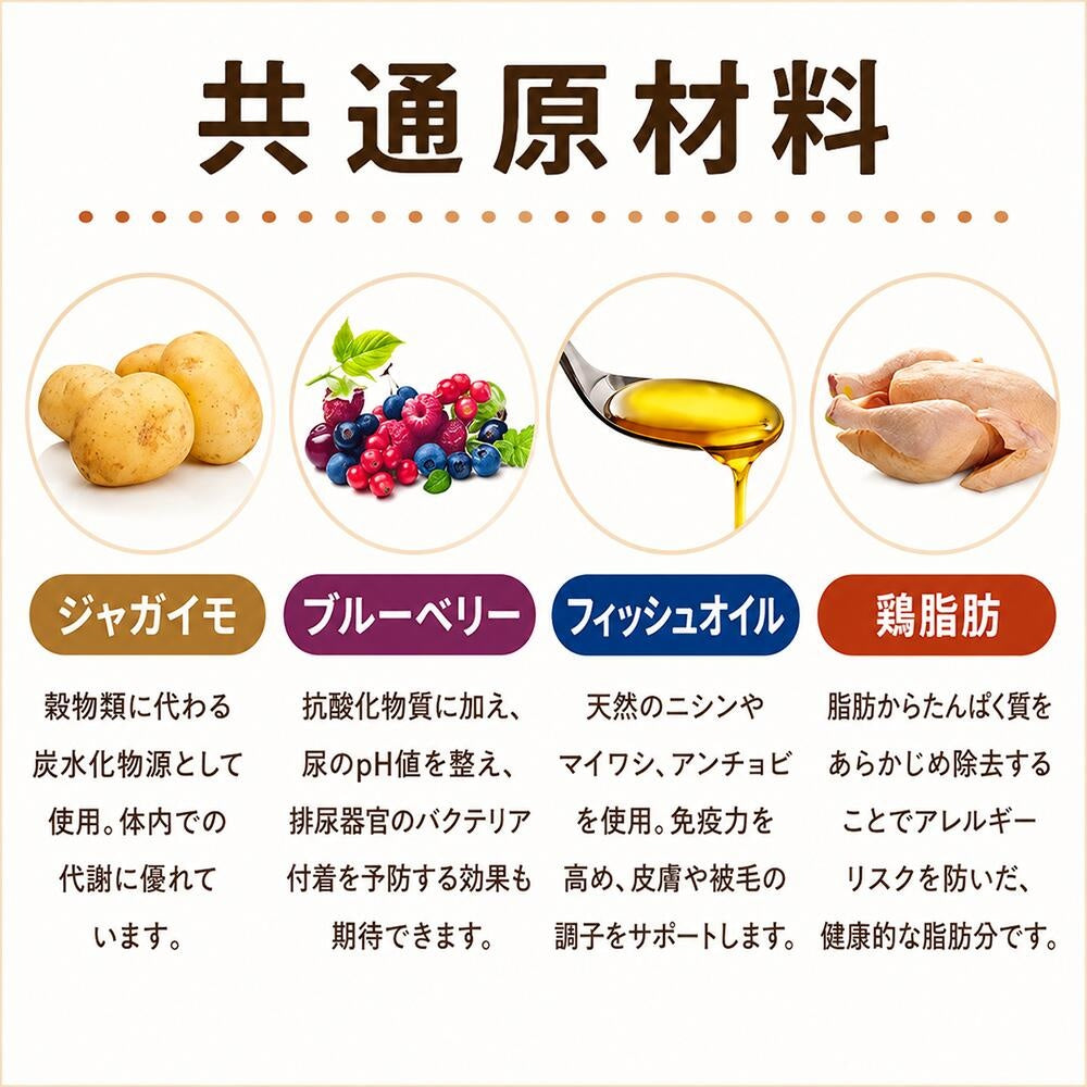 FirstMate(ファーストメイト) ケージフリー ダック＆パンプキン 小粒/普通粒